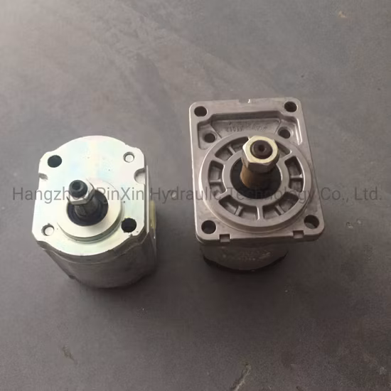 Pompa idraulica Rexroth/Pompa a pistone/Pompa a pressione/Pompa dell'olio/Pompa a palette/Pompa a ingranaggi/Pompa per escavatore per A2fo/A2FM/A4V/A6vm/A7vo/A10vso/A11V/PV7/Pg/A4fo