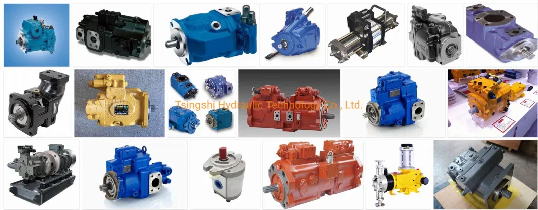 Gear Kind Hydraulic Pump Hyva for Hydraulic System Dump Truck